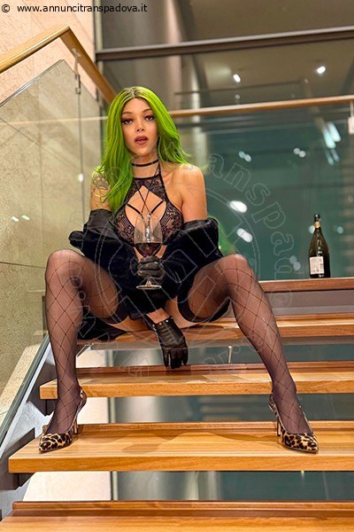 Foto Kika Doncato  Incontri Transescort Pesaro