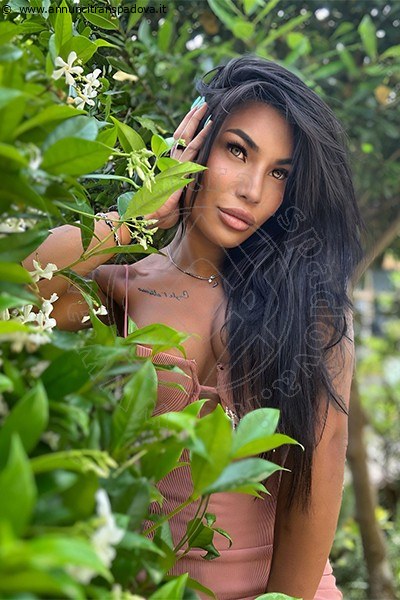 Foto Mandy Asiatica  Incontri Transescort Napoli